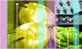 Toy Symphony beat bugs, music shapers